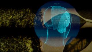Screening: Nearest Neighbor at REDCAT