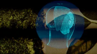 Screening: Nearest Neighbor at REDCAT