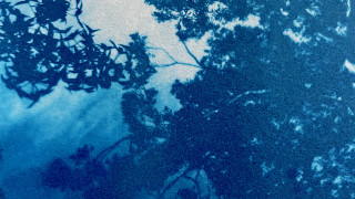Upcoming Talk: Ghost Prints from a Broken Magnet