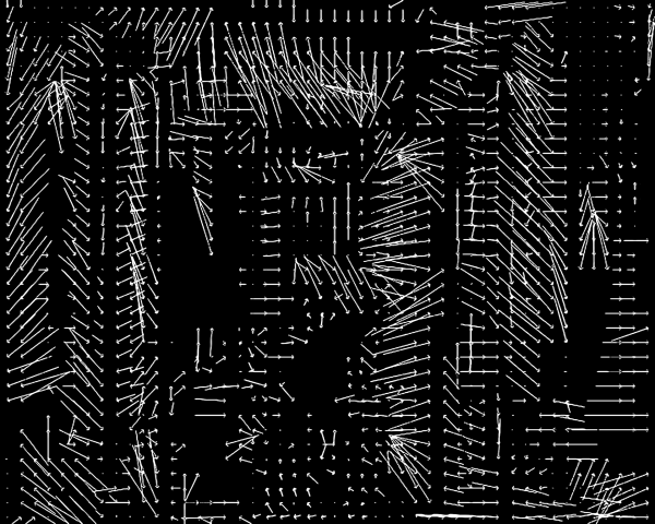 Lossless series, 2008