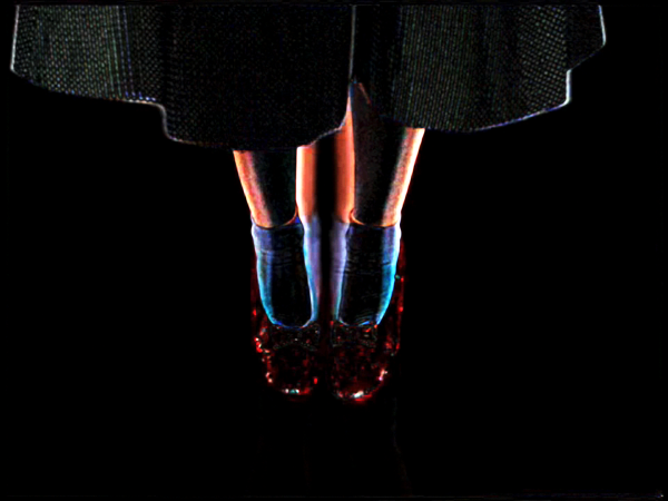 Lossless series, 2008