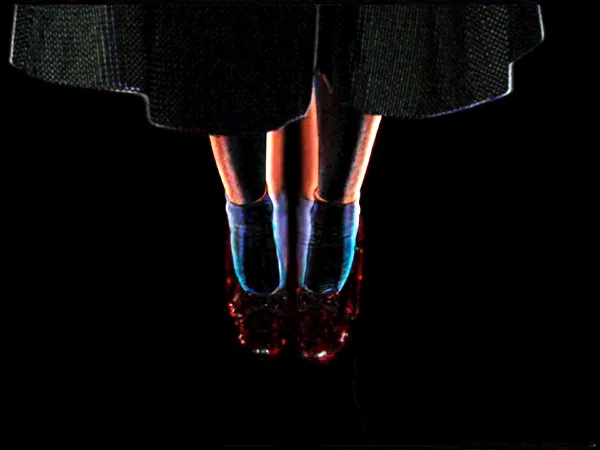 Lossless series, 2008