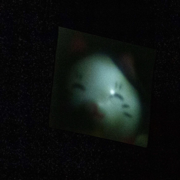 Pinhole photography, 2023