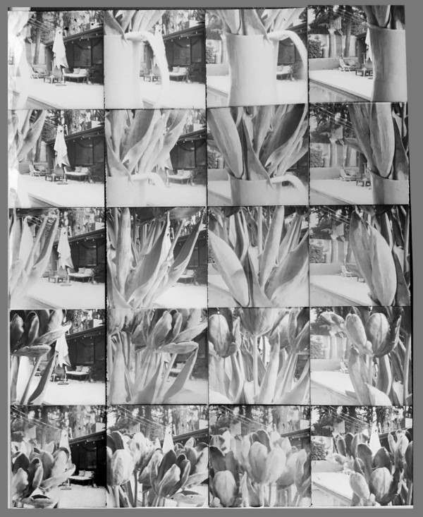 Pinhole photography, 2023