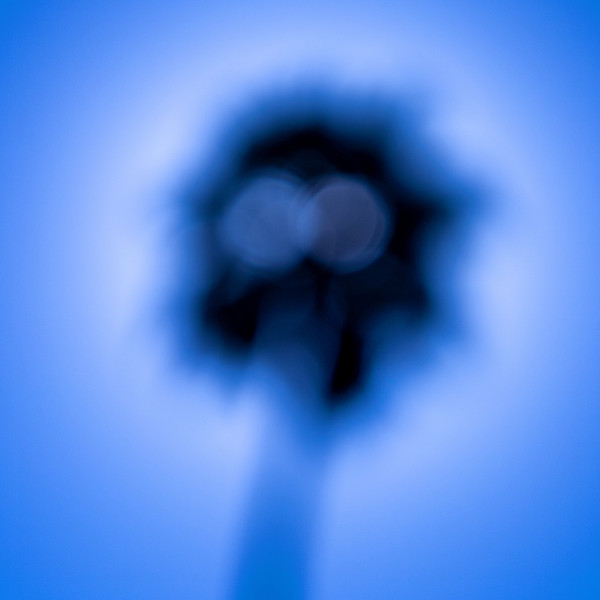Pinhole photography, 2023