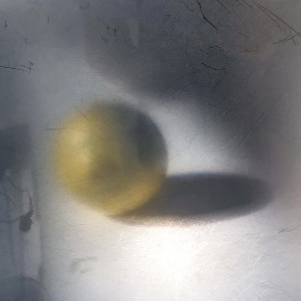 Pinhole photography, 2023