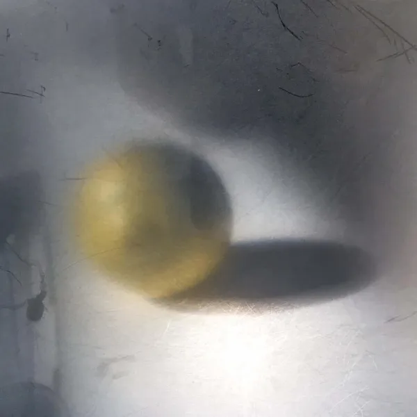 Pinhole photography, 2023